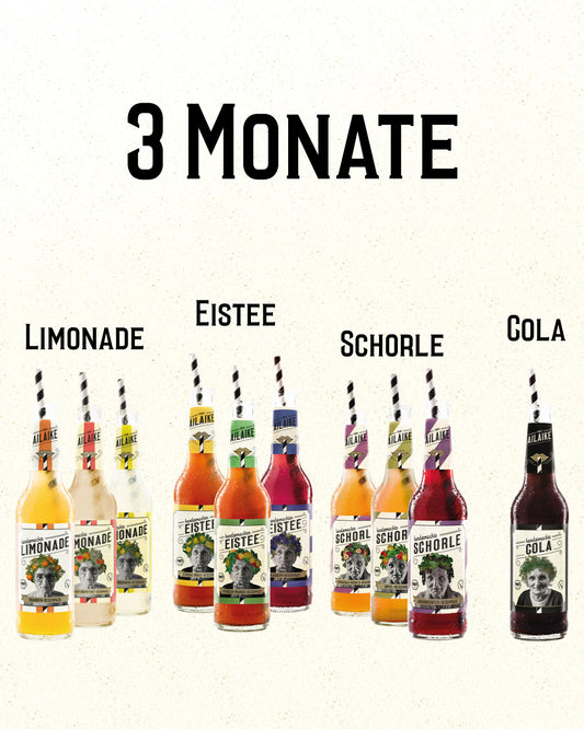 AiLaike Vorteils-Paket "3 Monate"