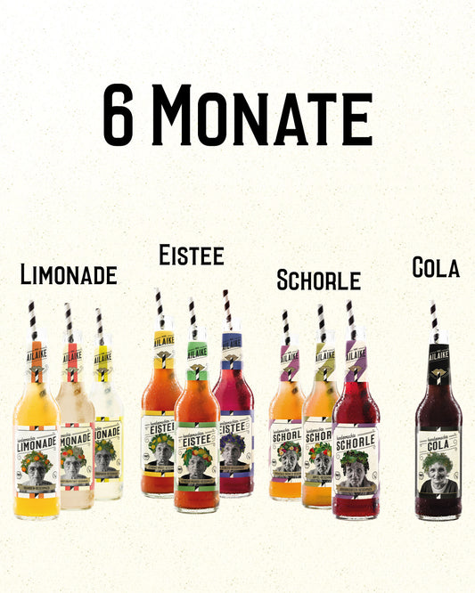 AiLaike Vorteils-Paket "6 Monate"